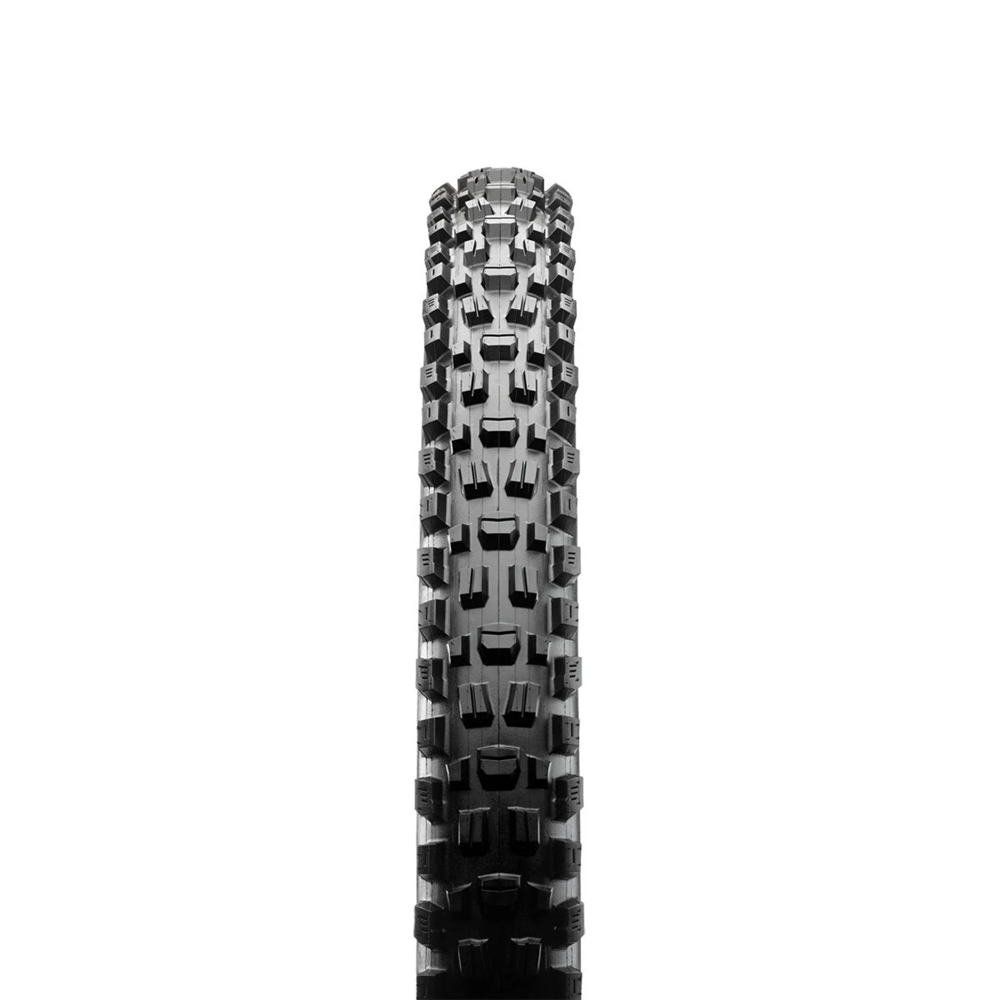 MAXXIS Assegai Folding 3C EXO+ TR - Image 2