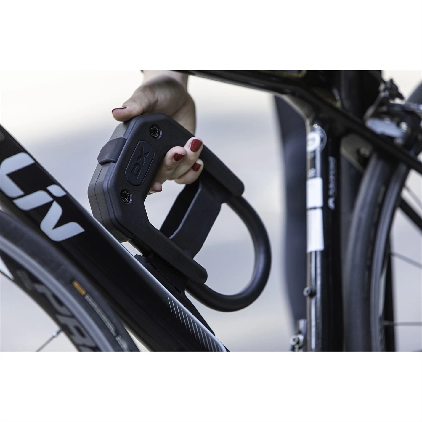 Hiplok DXF - Image 5