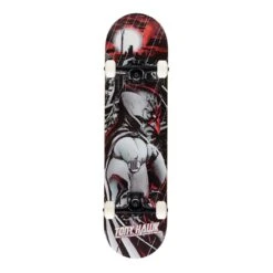 Hawk 540 Skateboard