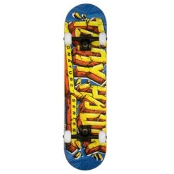 Hawk Signature Series 540 Complete Skateboard