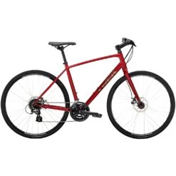 Trek FX 1 Disc Hybrid Bike